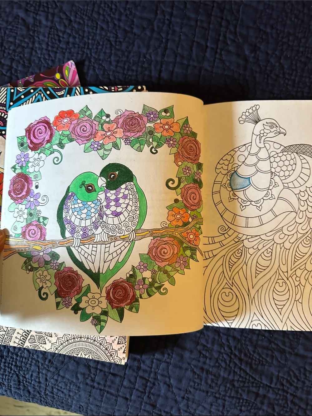Coloring Book Bundle - Picture 3 of 8
